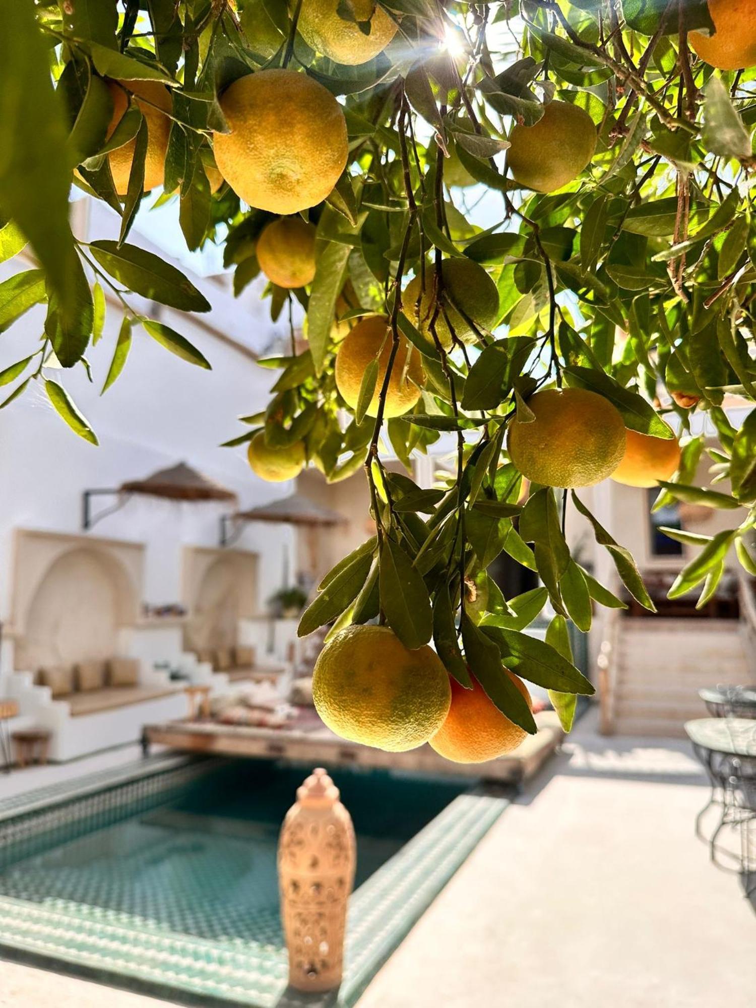 Dar Salam Souss Bed & Breakfast Taroudant Exterior foto